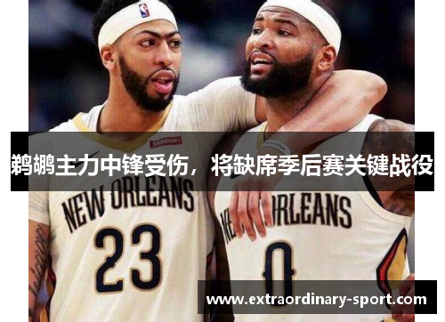 鹈鹕主力中锋受伤，将缺席季后赛关键战役